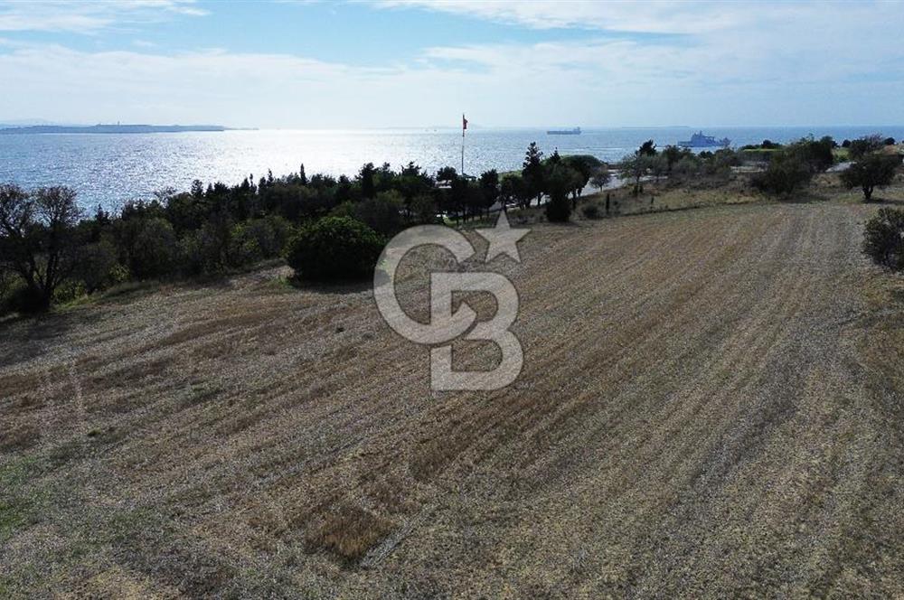 ECEABAT SEDDÜLBAHİR DENİZE YAKIN 12 DÖNÜM SATILIK TARLA