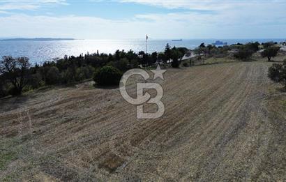 ECEABAT SEDDÜLBAHİR DENİZE YAKIN 12 DÖNÜM SATILIK TARLA