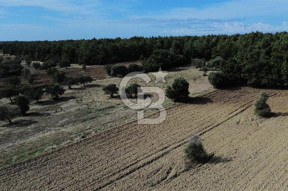 ECEABAT SEDDÜLBAHİR' DE TARIMA UYGUN, YATIRIMLIK TARLA