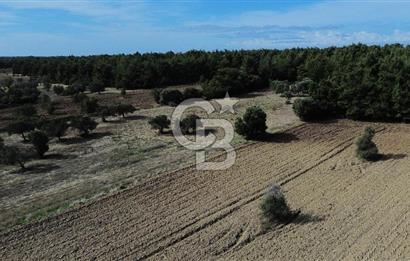 ECEABAT SEDDÜLBAHİR' DE TARIMA UYGUN, YATIRIMLIK TARLA