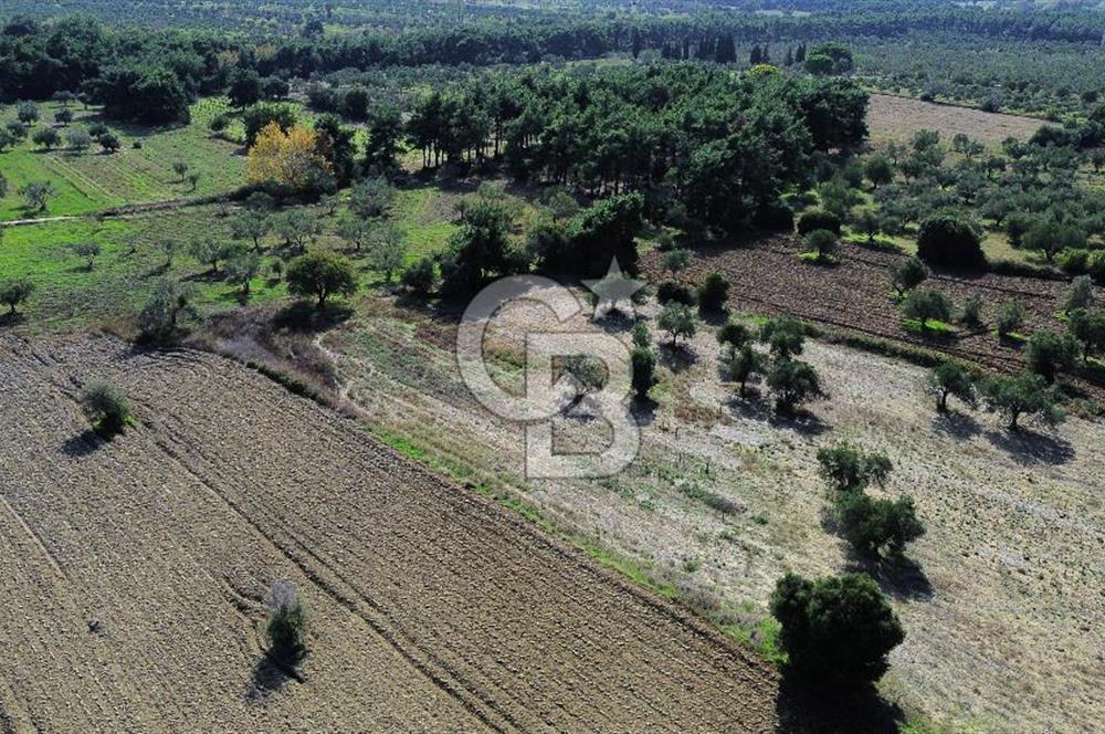 ECEABAT SEDDÜLBAHİR' DE TARIMA UYGUN, YATIRIMLIK TARLA
