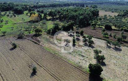 ECEABAT SEDDÜLBAHİR' DE TARIMA UYGUN, YATIRIMLIK TARLA