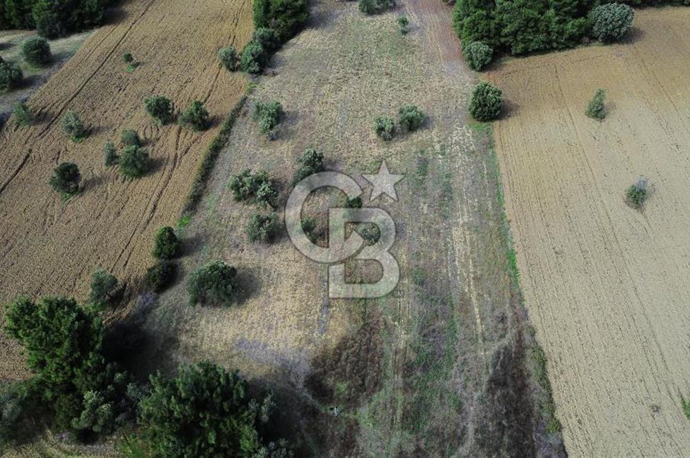 ECEABAT SEDDÜLBAHİR' DE TARIMA UYGUN, YATIRIMLIK TARLA