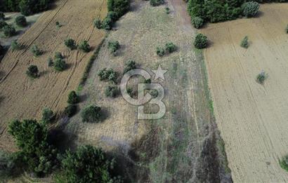 ECEABAT SEDDÜLBAHİR' DE TARIMA UYGUN, YATIRIMLIK TARLA