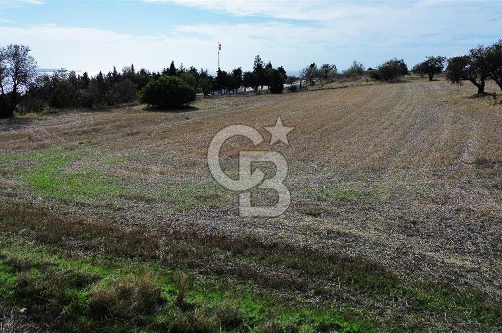 ECEABAT SEDDÜLBAHİR DENİZE YAKIN 12 DÖNÜM SATILIK TARLA