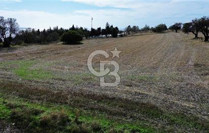 ECEABAT SEDDÜLBAHİR DENİZE YAKIN 12 DÖNÜM SATILIK TARLA