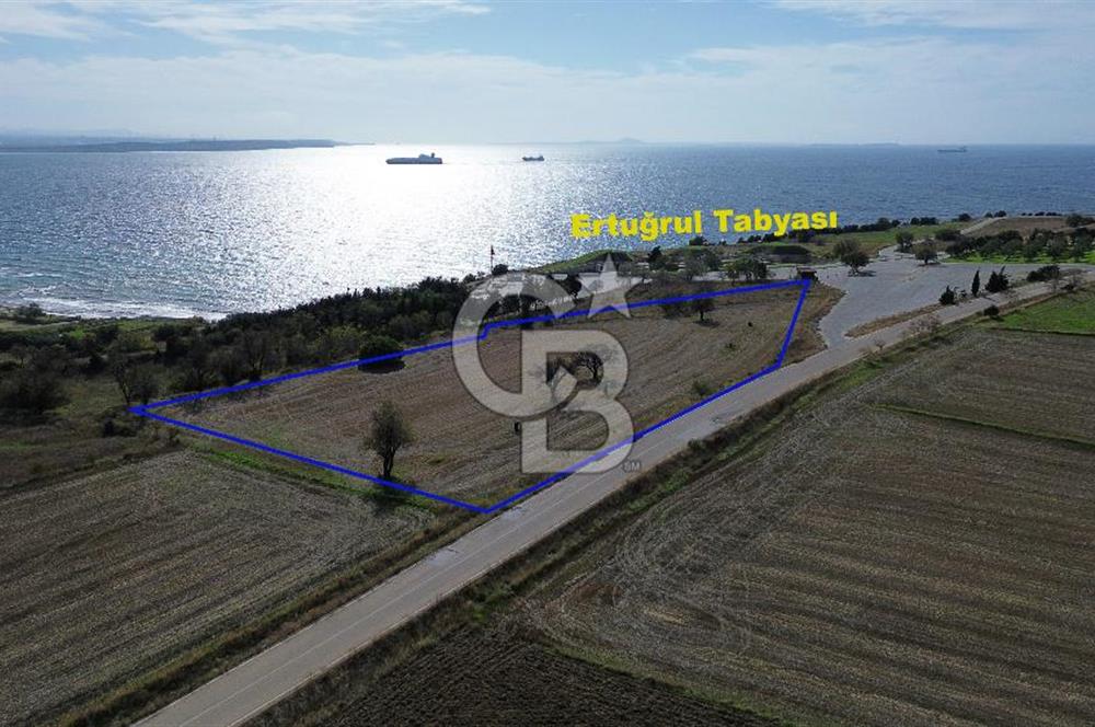 ECEABAT SEDDÜLBAHİR DENİZE YAKIN 12 DÖNÜM SATILIK TARLA