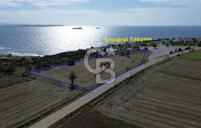ECEABAT SEDDÜLBAHİR DENİZE YAKIN 12 DÖNÜM SATILIK TARLA