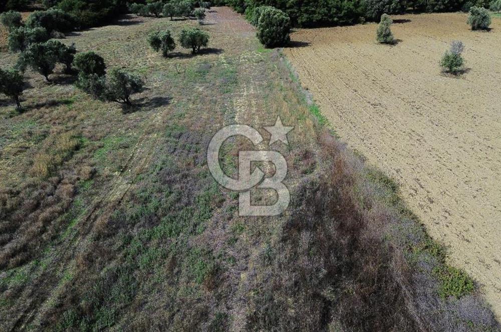 ECEABAT SEDDÜLBAHİR' DE TARIMA UYGUN, YATIRIMLIK TARLA