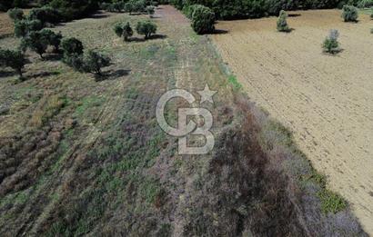 ECEABAT SEDDÜLBAHİR' DE TARIMA UYGUN, YATIRIMLIK TARLA