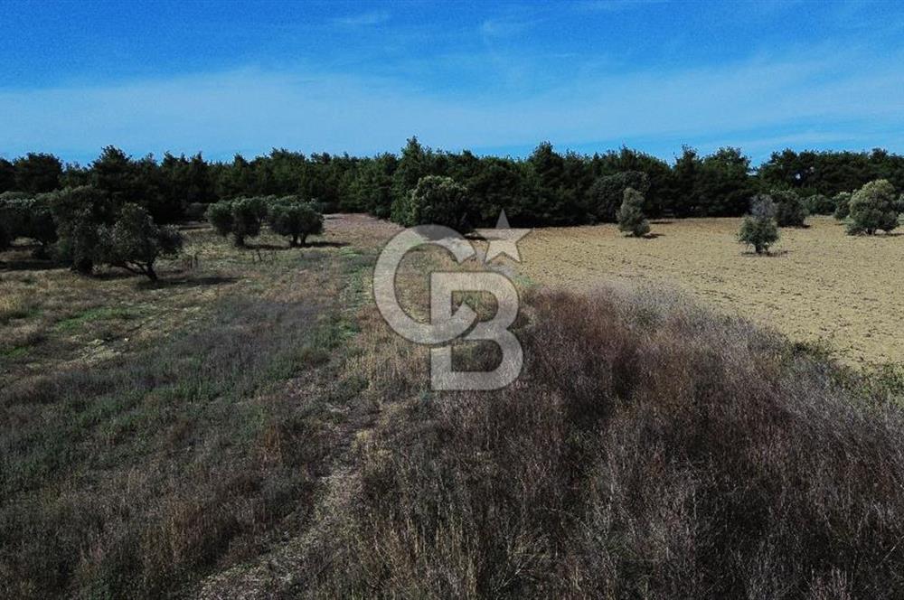 ECEABAT SEDDÜLBAHİR' DE TARIMA UYGUN, YATIRIMLIK TARLA