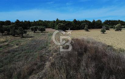 ECEABAT SEDDÜLBAHİR' DE TARIMA UYGUN, YATIRIMLIK TARLA