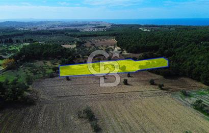 ECEABAT SEDDÜLBAHİR' DE TARIMA UYGUN, YATIRIMLIK TARLA