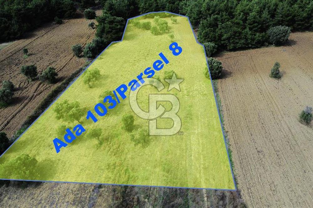 ECEABAT SEDDÜLBAHİR' DE TARIMA UYGUN, YATIRIMLIK TARLA