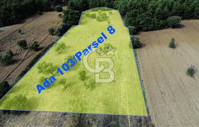 ECEABAT SEDDÜLBAHİR' DE TARIMA UYGUN, YATIRIMLIK TARLA