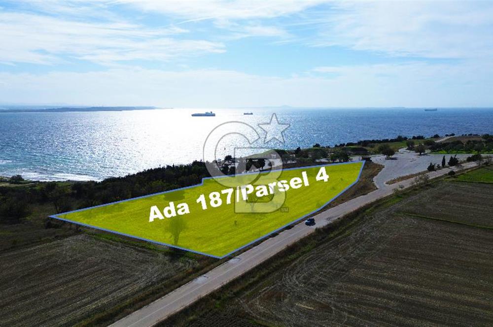 ECEABAT SEDDÜLBAHİR DENİZE YAKIN 12 DÖNÜM SATILIK TARLA