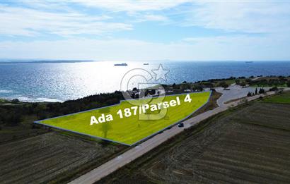 ECEABAT SEDDÜLBAHİR DENİZE YAKIN 12 DÖNÜM SATILIK TARLA