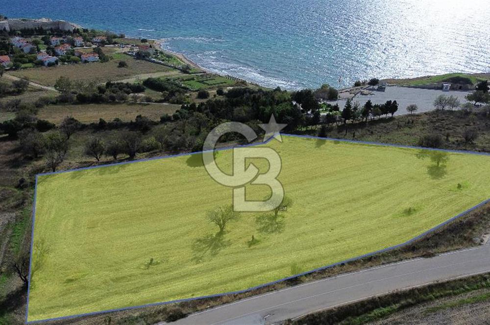 ECEABAT SEDDÜLBAHİR DENİZE YAKIN 12 DÖNÜM SATILIK TARLA