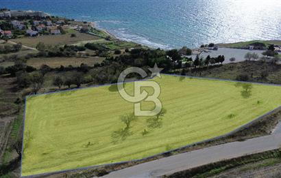 ECEABAT SEDDÜLBAHİR DENİZE YAKIN 12 DÖNÜM SATILIK TARLA