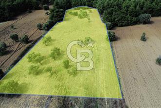 ECEABAT SEDDÜLBAHİR' DE TARIMA UYGUN, YATIRIMLIK TARLA - 2 - 341308