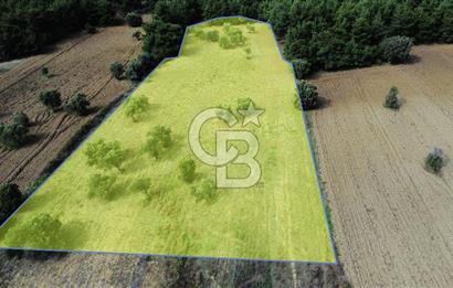 ECEABAT SEDDÜLBAHİR' DE TARIMA UYGUN, YATIRIMLIK TARLA