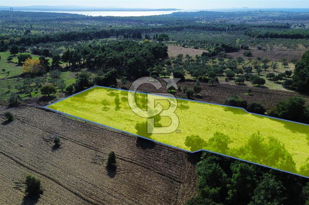 ECEABAT SEDDÜLBAHİR' DE TARIMA UYGUN, YATIRIMLIK TARLA