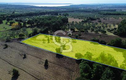 ECEABAT SEDDÜLBAHİR' DE TARIMA UYGUN, YATIRIMLIK TARLA