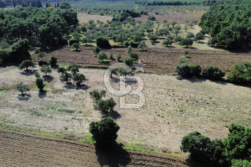 ECEABAT SEDDÜLBAHİR' DE TARIMA UYGUN, YATIRIMLIK TARLA