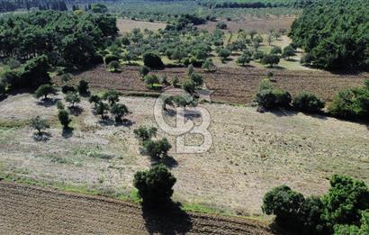 ECEABAT SEDDÜLBAHİR' DE TARIMA UYGUN, YATIRIMLIK TARLA