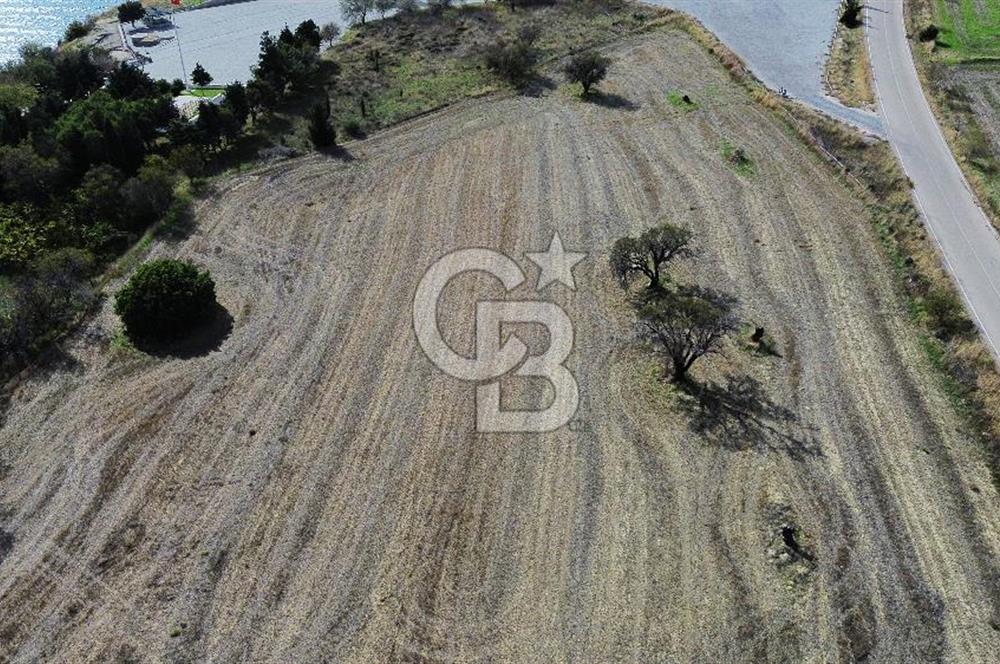 ECEABAT SEDDÜLBAHİR DENİZE YAKIN 12 DÖNÜM SATILIK TARLA