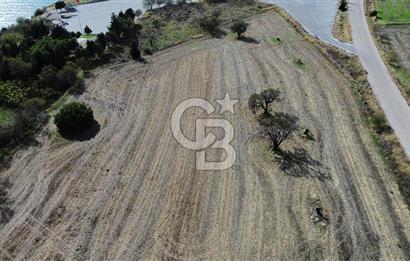 ECEABAT SEDDÜLBAHİR DENİZE YAKIN 12 DÖNÜM SATILIK TARLA