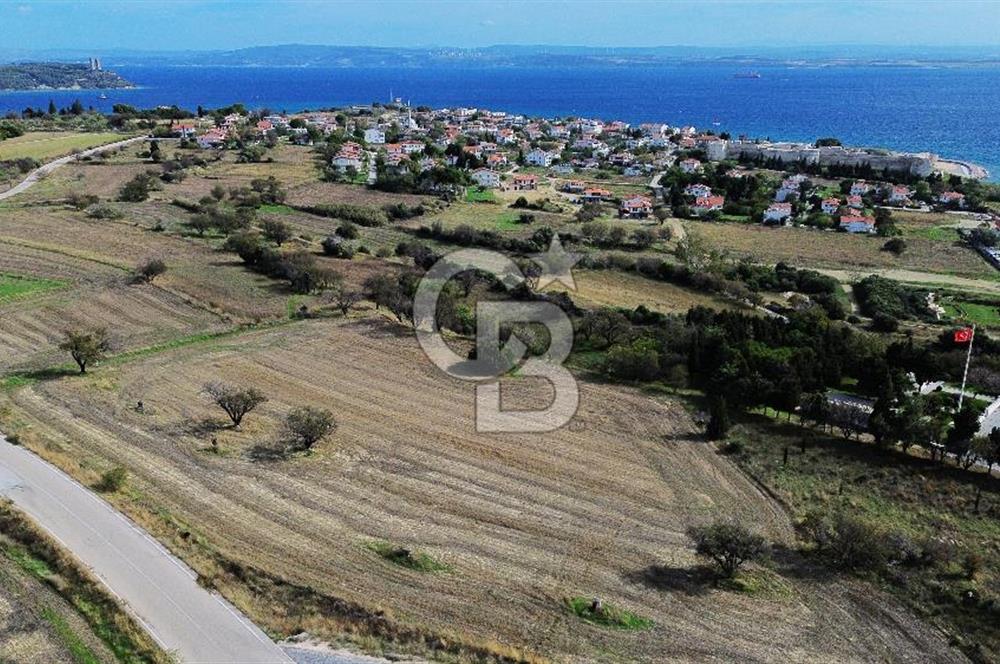 ECEABAT SEDDÜLBAHİR DENİZE YAKIN 12 DÖNÜM SATILIK TARLA