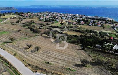 ECEABAT SEDDÜLBAHİR DENİZE YAKIN 12 DÖNÜM SATILIK TARLA