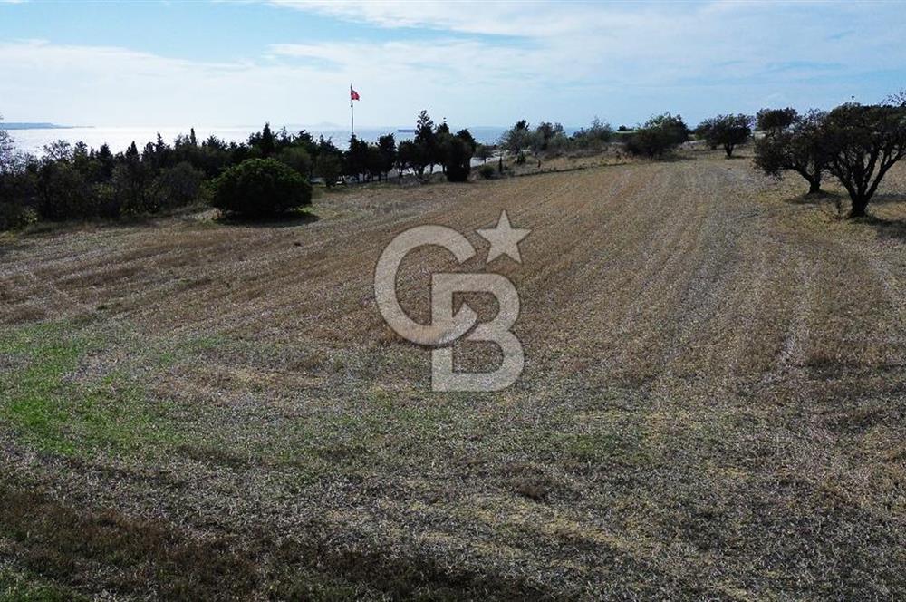 ECEABAT SEDDÜLBAHİR DENİZE YAKIN 12 DÖNÜM SATILIK TARLA