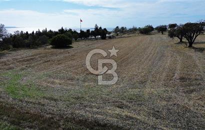 ECEABAT SEDDÜLBAHİR DENİZE YAKIN 12 DÖNÜM SATILIK TARLA