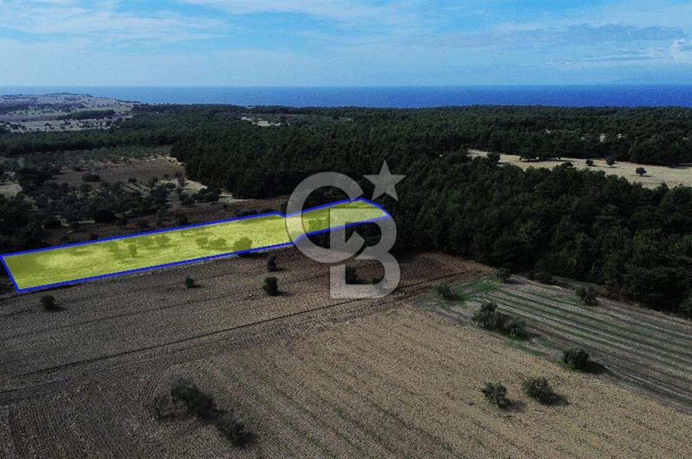 ECEABAT SEDDÜLBAHİR' DE TARIMA UYGUN, YATIRIMLIK TARLA