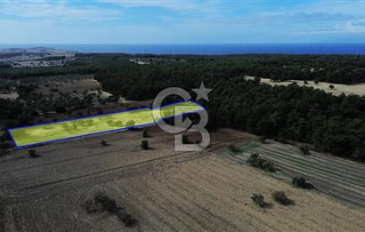 ECEABAT SEDDÜLBAHİR' DE TARIMA UYGUN, YATIRIMLIK TARLA