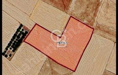 AFYONKARAHİSAR EMİRDAĞI ÖRENKÖY SATILIK TARLA