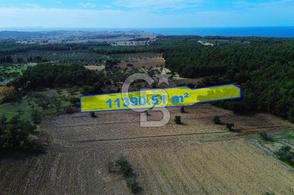 ECEABAT SEDDÜLBAHİR' DE TARIMA UYGUN, YATIRIMLIK TARLA