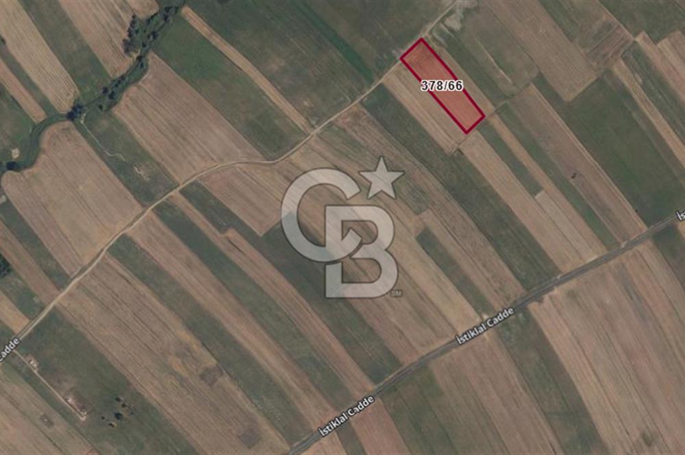 Tekirdağ Ergene Misinli 404 m² Yola Cephe Satılık Fırsat Tarla