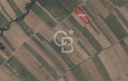 Tekirdağ Ergene Misinli 404 m² Yola Cephe Satılık Fırsat Tarla