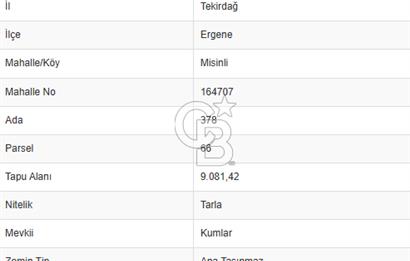 Tekirdağ Ergene Misinli 404 m² Yola Cephe Satılık Fırsat Tarla