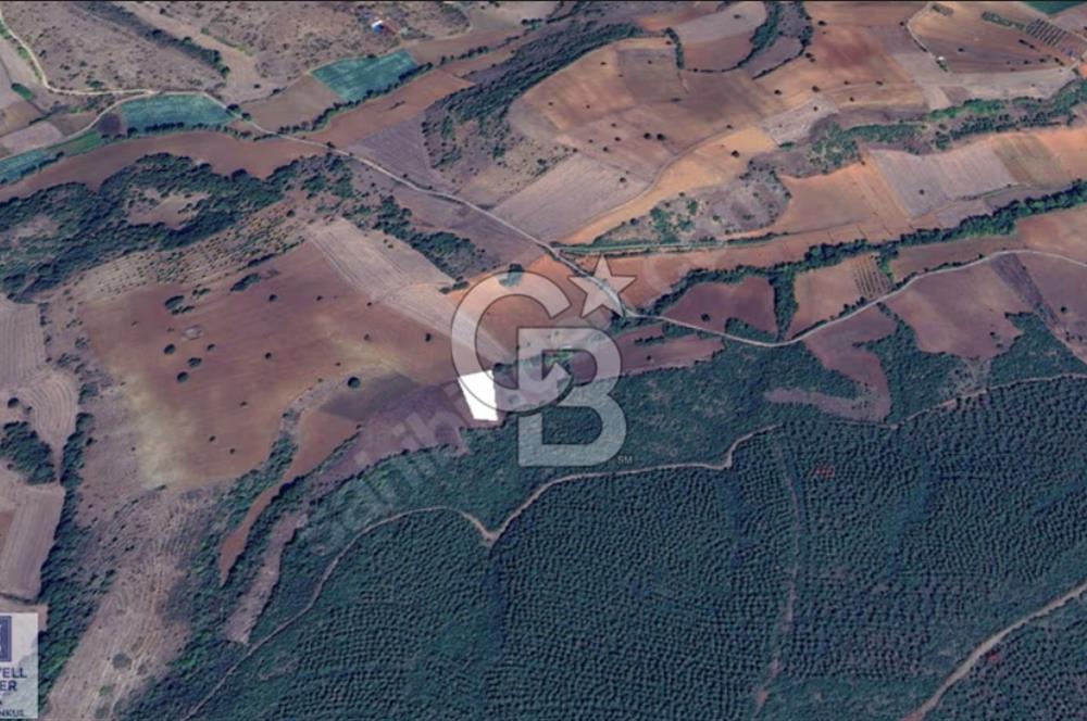 BURSA YENİŞEHİR 2324 m² SATILIK TARLA | YAN SANAYİ 1,5 KM | TOKİ