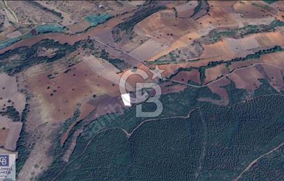 BURSA YENİŞEHİR 2324 m² SATILIK TARLA | YAN SANAYİ 1,5 KM | TOKİ