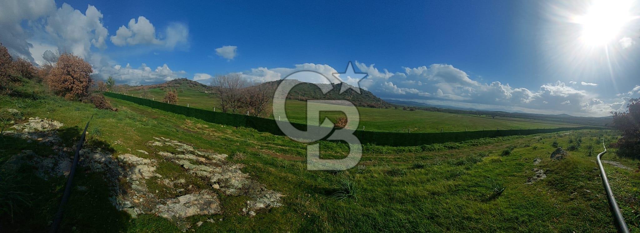 EGE' DE BİR KÖY DİKİLİ DEMİRTAŞ 500 M² FIRSAT TARLA