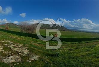 EGE' DE BİR KÖY DİKİLİ DEMİRTAŞ 500 M² FIRSAT TARLA - 7 - 341326