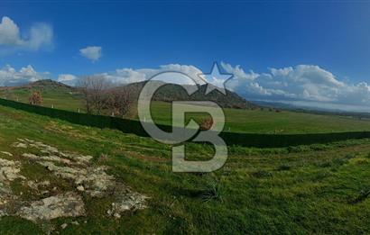 EGE' DE BİR KÖY DİKİLİ DEMİRTAŞ 500 M² FIRSAT TARLA