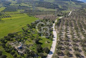 SAMURLUDA YOLA CEPHE 3625m2 SATILIK TARLA - 2 - 341296