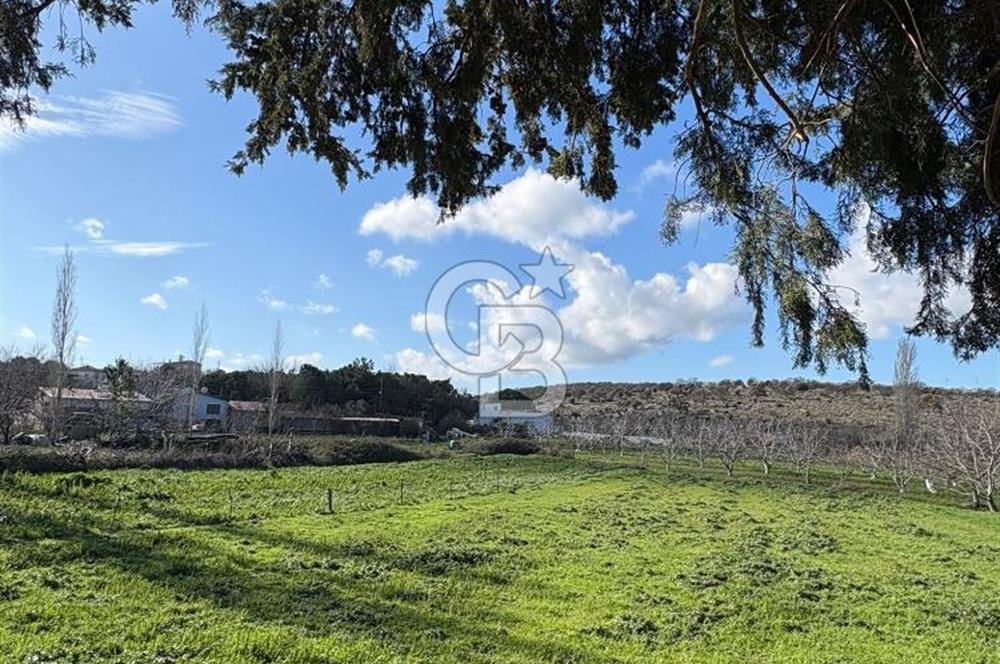 ezine pınabaşında imarlı arsa