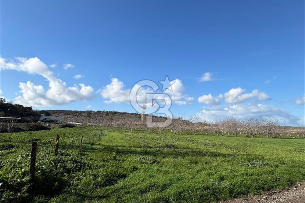 ezine pınabaşında imarlı arsa